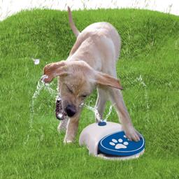 CoolPets Splash Have Fountain For Sjov